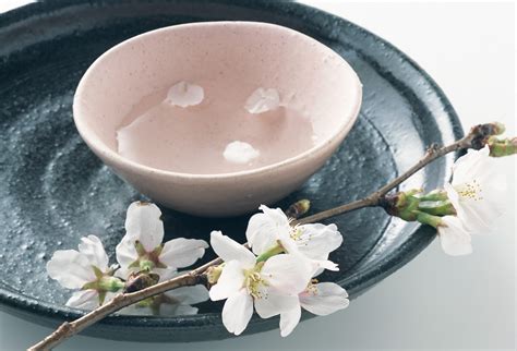 遅咲きの「兼六園菊桜」で風雅な趣ある一人花見