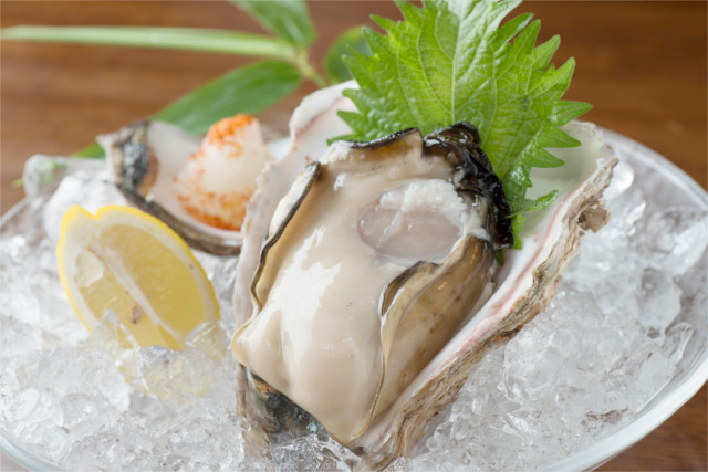 栄養満点の美味しい牡蠣を育ててくれるのは「能登の里山里海」
